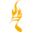 &nbsp;